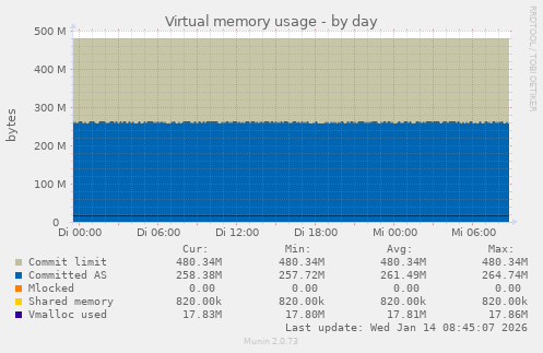 Virtual memory usage